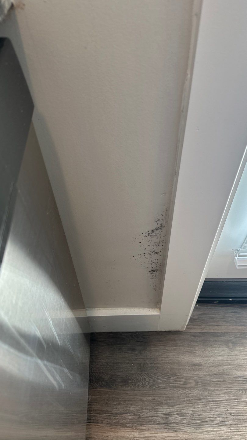 Dark spotting on lower interior wall near trim