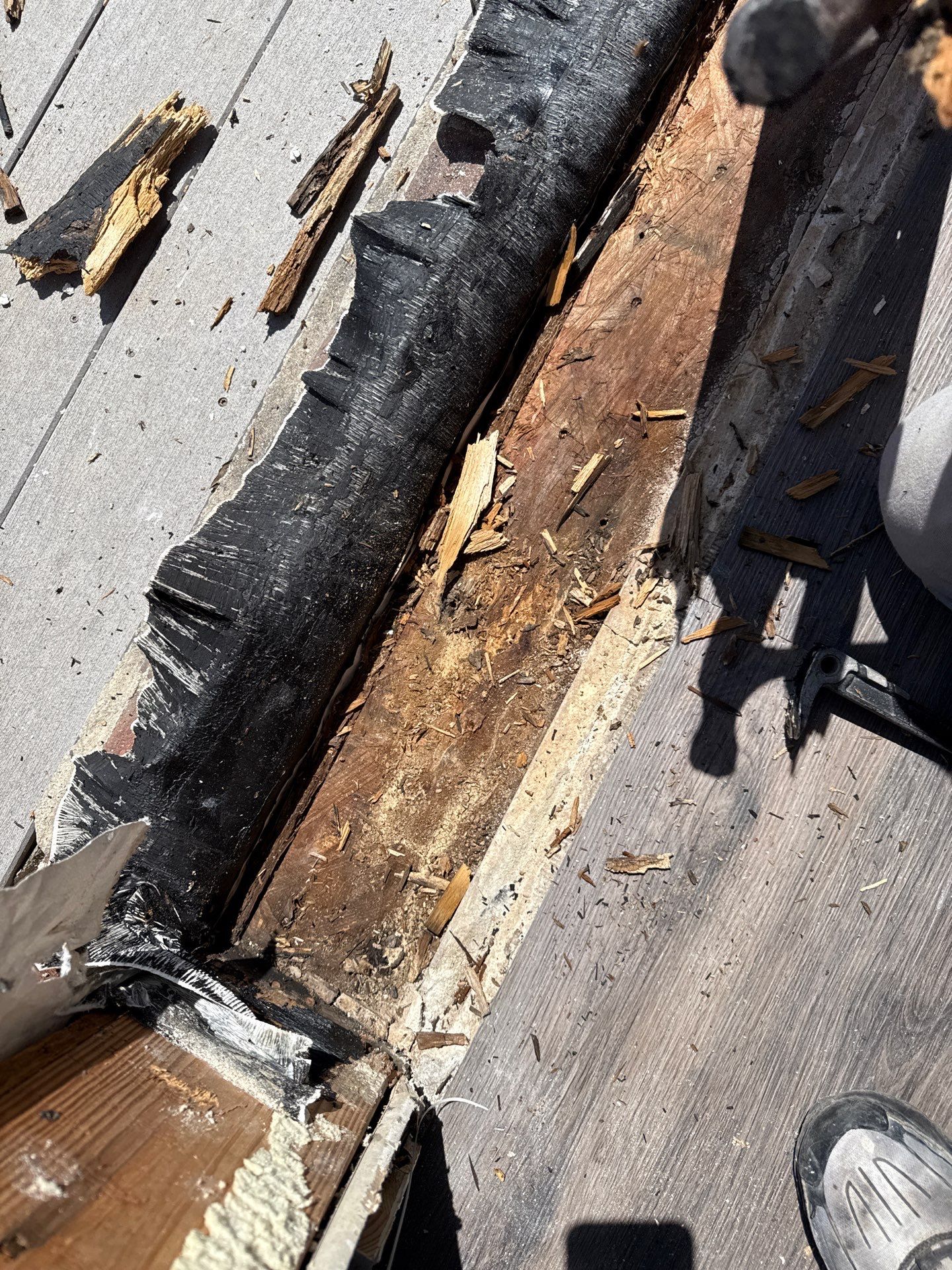 Close-up of deteriorated wood and damaged materials exposed beneath the original exterior door threshold