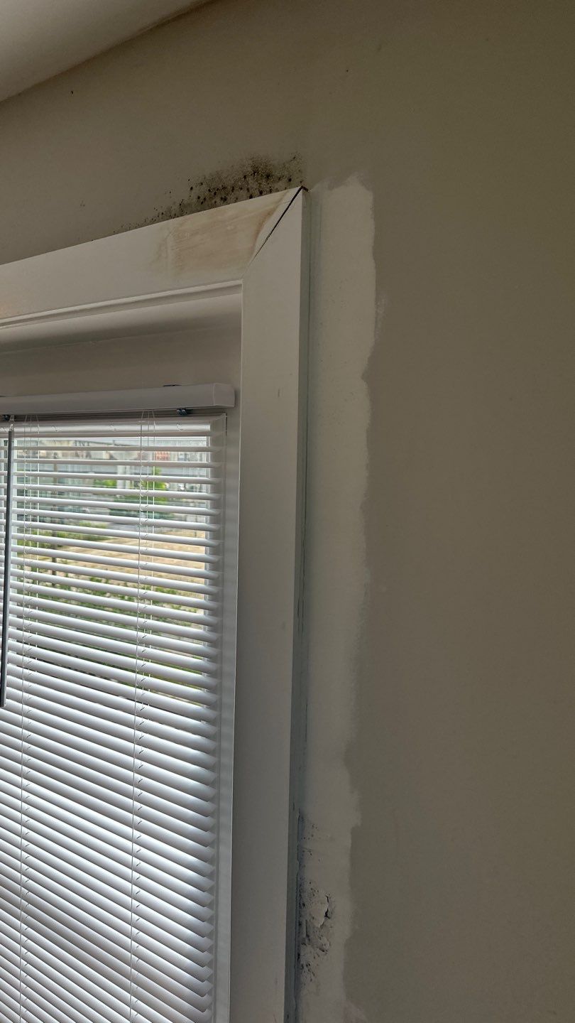 Closer view of dark spotting above door trim