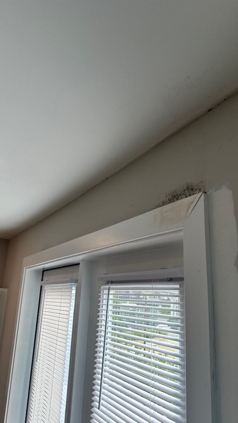 Additional view of staining above interior door